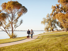 Swan hill   lake boga   walking  swh7444